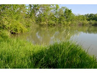 Property photo 64 - LAND AUCTION - 215+/- ACRES OFFERED IN 6 TRACTS IN VAN WERT COUNTY, OHIO